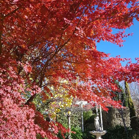 Winston Cottage At Three Sisters Katoomba Luaran gambar