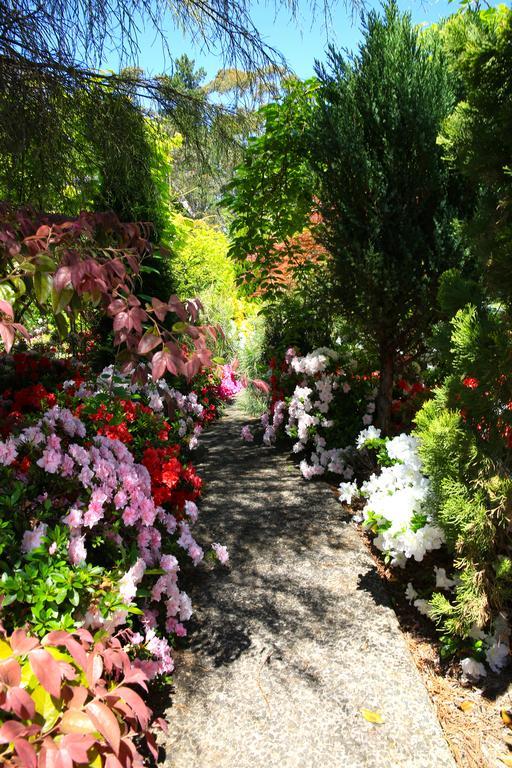 Winston Cottage At Three Sisters Katoomba Luaran gambar